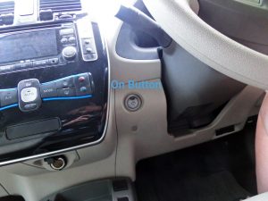aleaf on button-CIMG7915